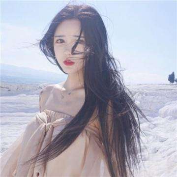 zgirls2汉化游戏下载